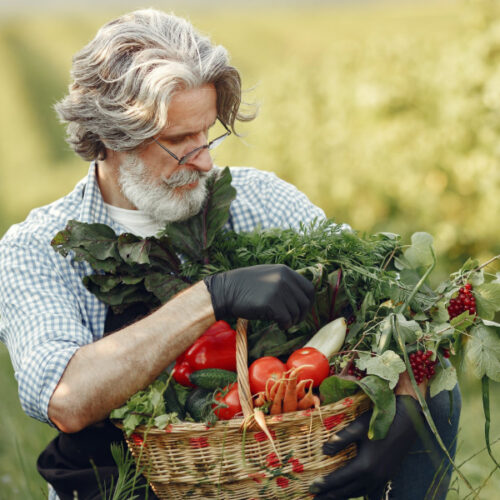 Man pulling vegetables from garden